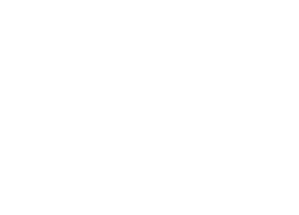 mobile logo